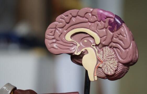 Concussion-Clinic-Bramalea5 Whiplash Injury Treatment York